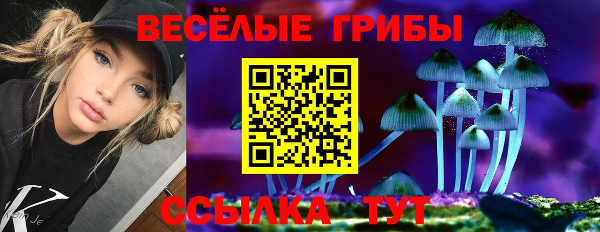 Галлюциногенные грибы Psilocybine cubensis Соликамск